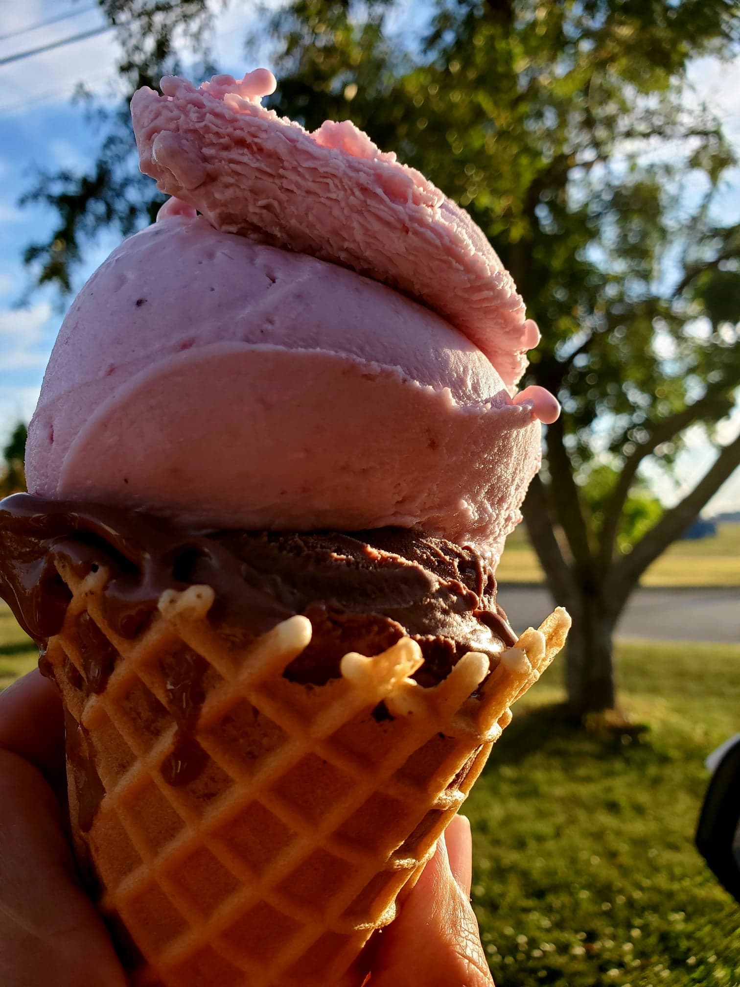 ice cream vegan cone marshall